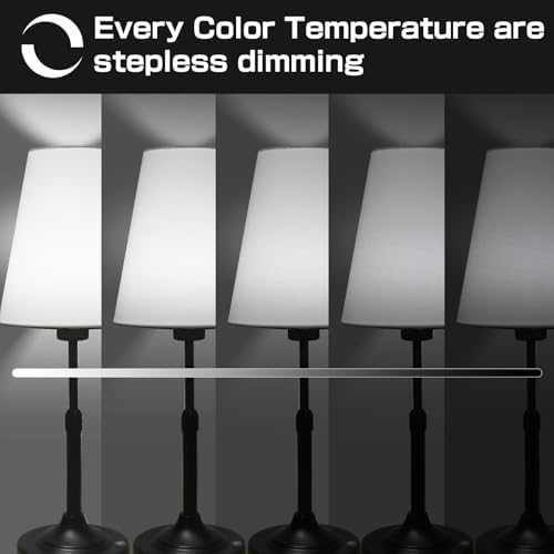Black Portable Cordless Table Lamp, 2700-6000K