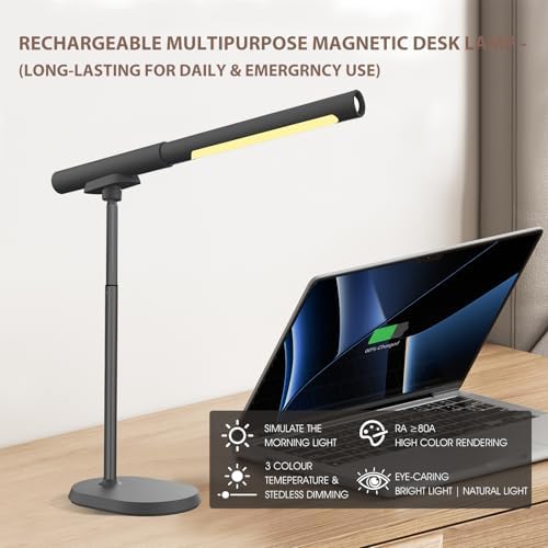 LED Desk Lamp with USB Ports. Eye-Caring 3 Color Temperature Stepless