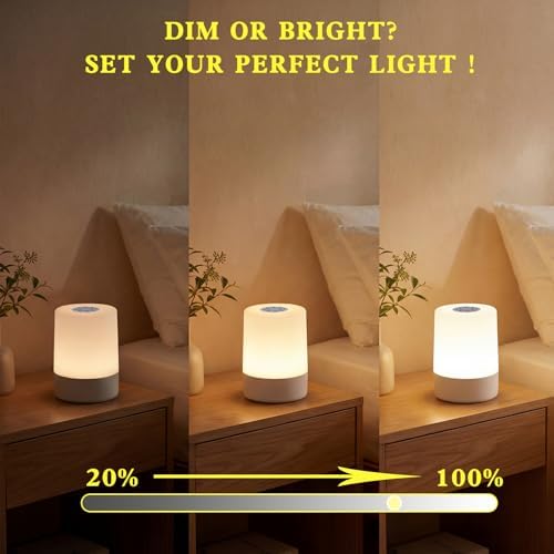 Cordless LED Desk Lamp, Touch Dimmable, USB Rechargeable