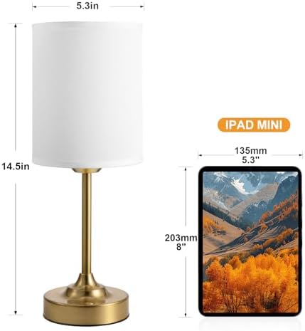 Rechargeable Table Lamp, Brass, 1 Pack