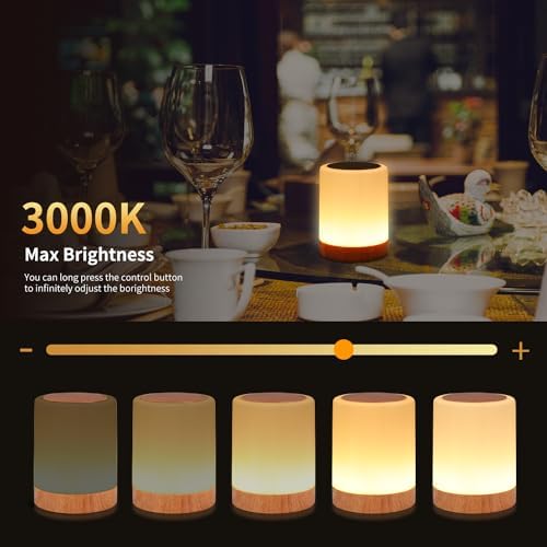 OORUN Touch Bedside Table Lamp, 13 RGB Colors, Rechargeable