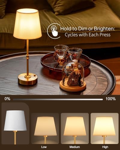 EppieBasic Gold Rechargeable Vintage Table Lamp
