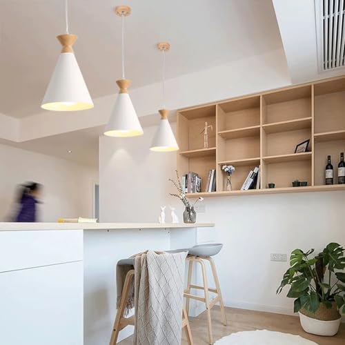 Modern Industrial E27 Single-Head Pendant Light