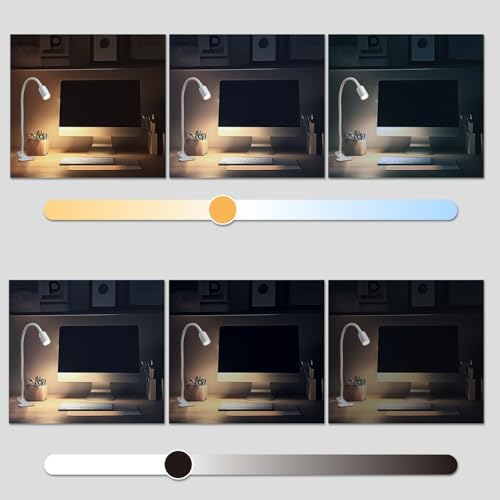 DAMI Clip-On LED Reading Light, 3000/4000/6000K