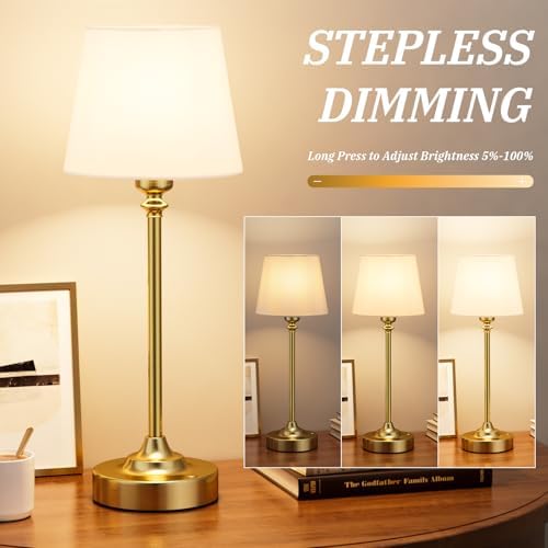 Kakanuo Gold Cordless Table Lamp, 1 Pack