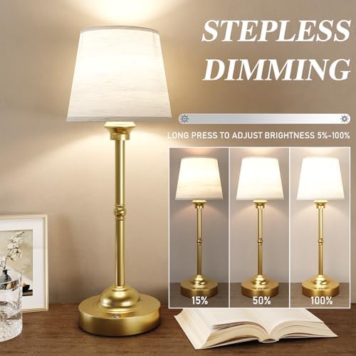 CHLORANTHUS 2 Pack Cordless Rechargeable Table Lamps