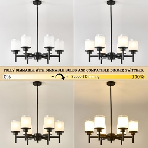 6-Light Black Chandelier with Glass Shades