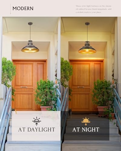 FEMILA 18" Outdoor Pendant Light, Oil Rubbed Bronze