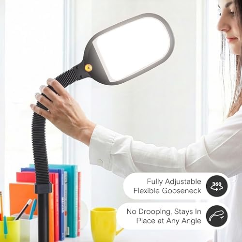 Brightech Litespan LED Floor Reading Lamp, Black