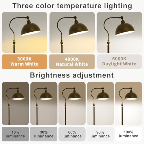 Bright Reading Floor Lamp with Remote and Bluetooth Dimming