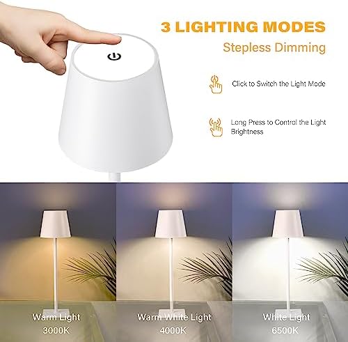 CHLORANTHUS 2 Pack Cordless Table Lamps, 5000mAh Battery