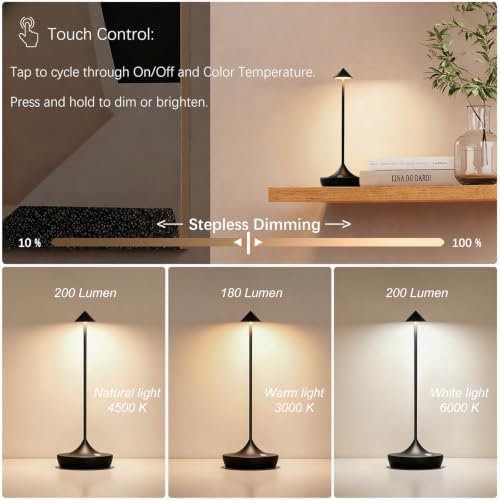 Set of 2 Black Rechargeable LED Table Lamps