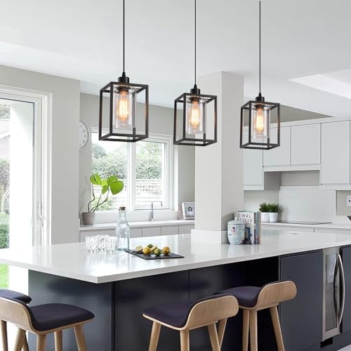 Black Industrial Pendant Light, Clear Glass Shade