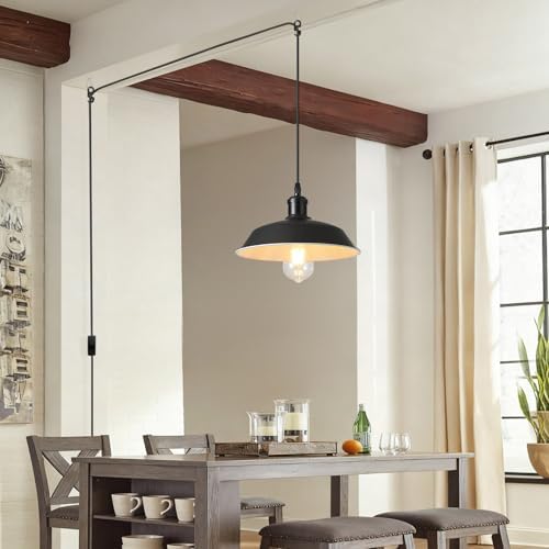 Plug in Pendant Light, 197” Cord, Black and White