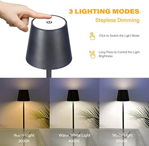 CHLORANTHUS 2 Pack Cordless Table Lamps, 3 Colors