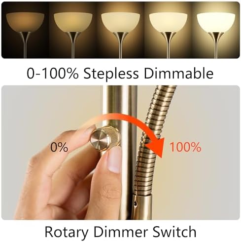 Dimmable Floor Lamp with 9W and 5W LED Bulbs