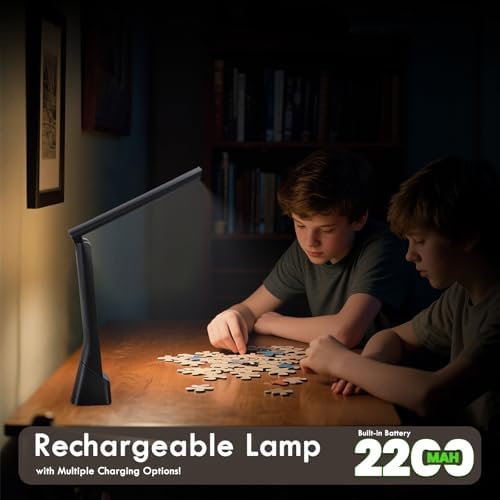 WILIT Rechargeable LED Desk Lamp, 3 Colors