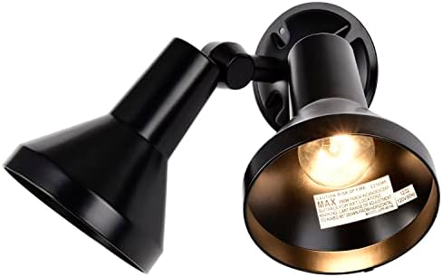 Nuvo Lighting SF77/701 Two-Light Outdoor Flood Light, Black