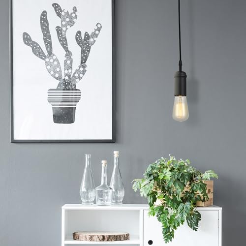 Globe Electric 64906 1-Light Pendant, Matte Black
