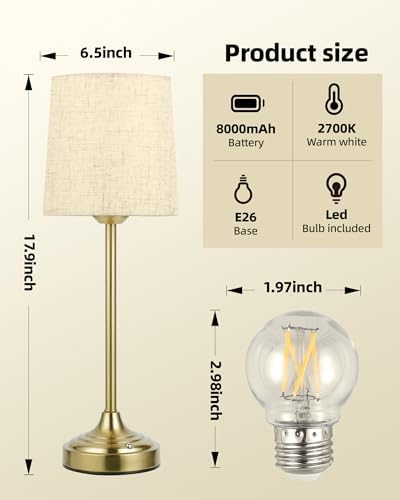 Battery Operated Lamp, 8000mAh, Ambient Light, Touch Control