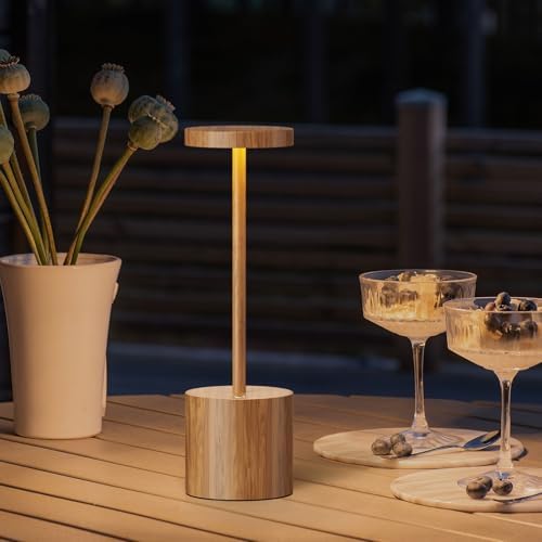 Rechargeable Cordless LED Outdoor Table Lamp