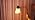 Coucrek Reading Floor Lamp
