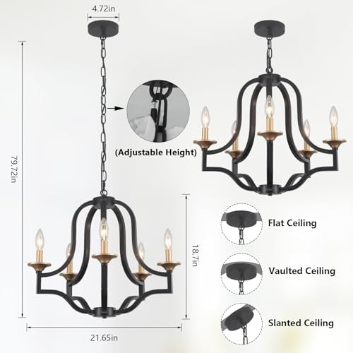 Black and Gold Chandelier Light Fixture