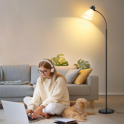 Coucrek Reading Floor Lamp