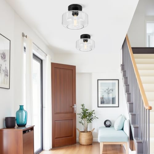 Lynnoland Semi Flush Mount Ceiling Light, Seeded Glass Shade