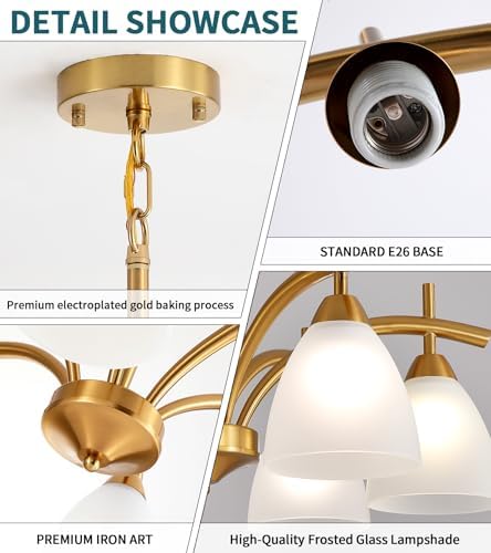Q&S Antique Brass Gold 6-Light Chandelier