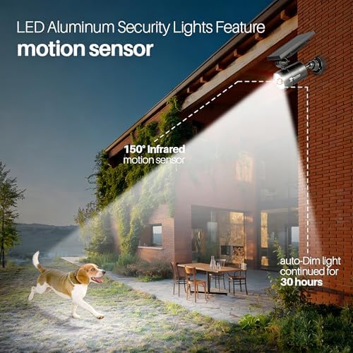 Solar Motion Flood Lights, 1400LM, 9W