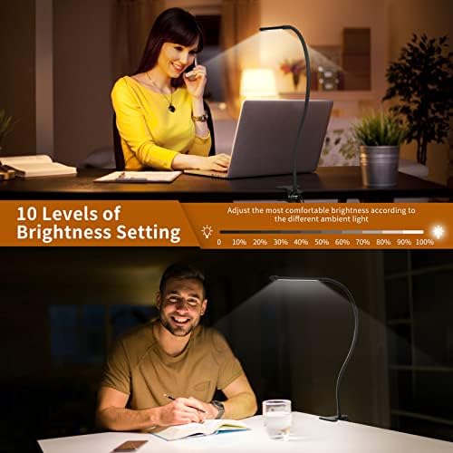 iZELL LED Clamp Desk Lamp, 3 Color Modes