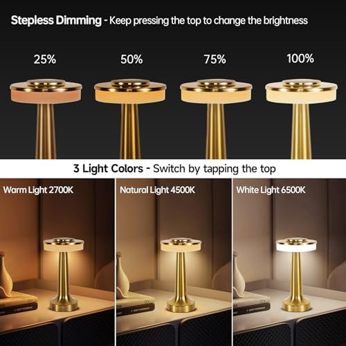 Cordless Portable LED Table Lamp, Stepless Dimming