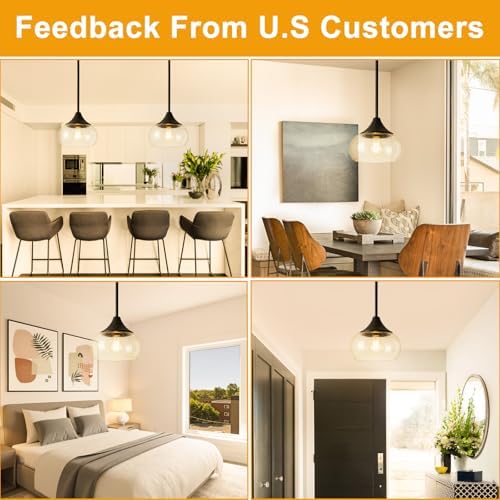 Black Pendant Light with 8.5-Inch Clear Glass Shade