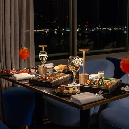 Rechargeable Cordless LED Outdoor Table Lamp