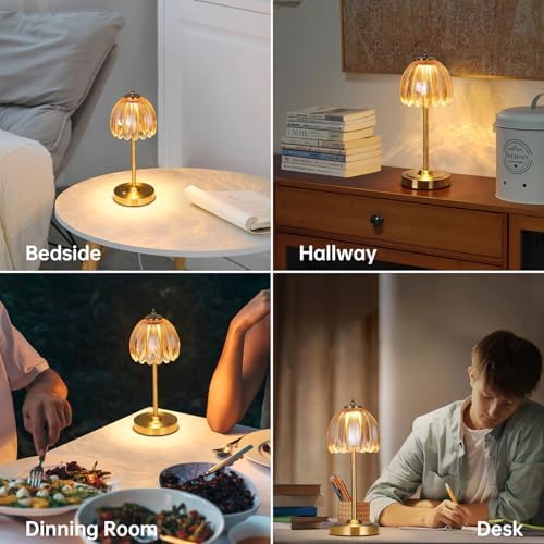 Shenmoyl Tulip Cordless Table Lamp, Amber