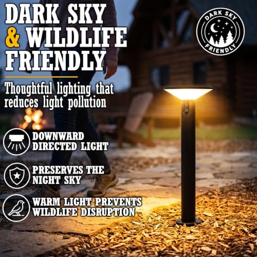Solar Outdoor Pathway Lights, Motion Sensor, 2-Pack