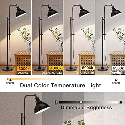 PARTPHONER Industrial Floor Lamp, Adjustable, Aged Black