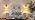 XSDeTu Plug-in Wall Sconces Set of 2