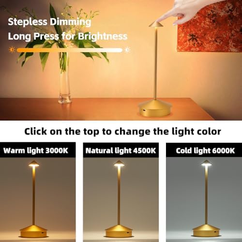 2 Pack Aluminum Cordless Table Lamps, 6000mAh, Gold