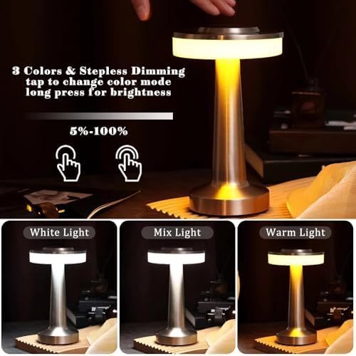 Riakrum 2 Pcs LED Cordless Rechargeable Table Lamps, Silver