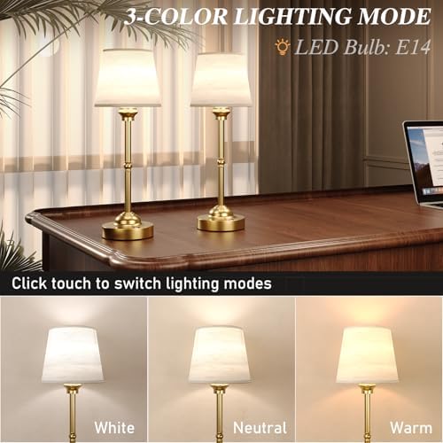 CHLORANTHUS 2 Pack Cordless Rechargeable Table Lamps