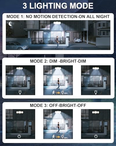 1-Pack Solar Motion Sensor Outdoor Light with Stake