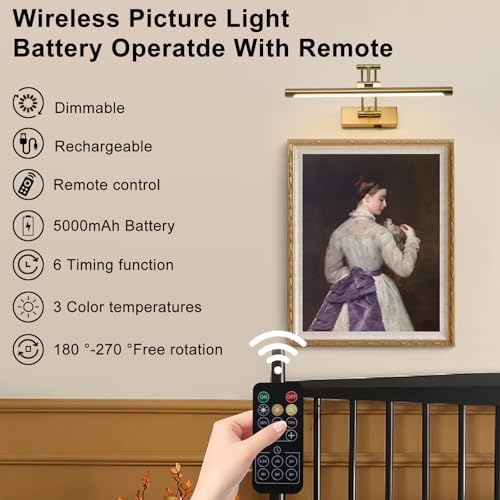 Rechargeable Battery Picture Light, Brass, 16”