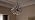 17" Brushed Nickel 5-Light Crystal Chandelier