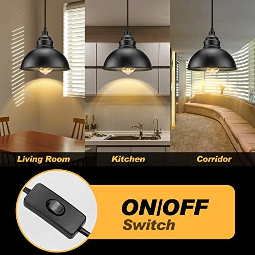 Plug in Pendant Light, 15FT Cord