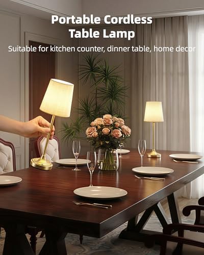 Battery Operated Lamp, 8000mAh, Ambient Light, Touch Control