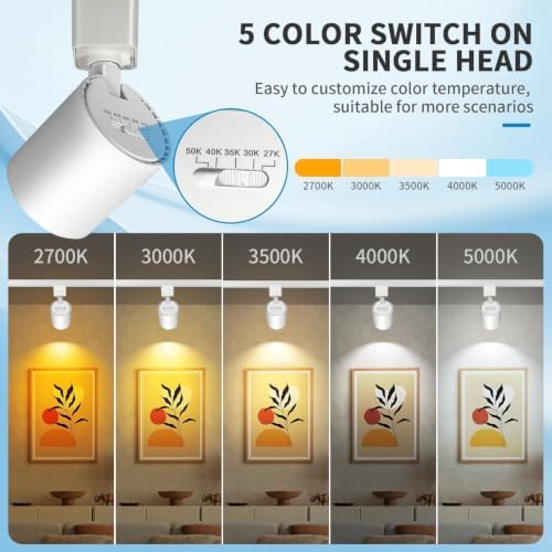 5-Color 6-Light LED Track Lighting Kit, 6.6FT H-Type, White