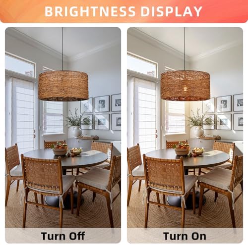 Arturesthome 1-Light Boho Rattan Pendant Light
