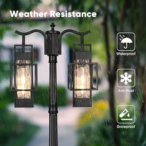 PARTPHONER 2-Head Outdoor Lamp Post Light